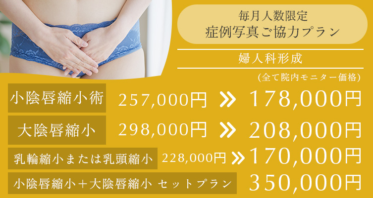 毎月人数限定 症例写真ご協力プラン 婦人科形成 小陰唇縮小術 257,000円→178,000円、大陰唇縮小 298,000円→208,000円、乳輪縮小または乳頭縮小 218,000円→170,000円、小陰唇縮小術+大陰唇縮小セットプラン 350,000円